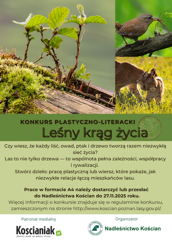 plakat_lesny_krag_zycia.png